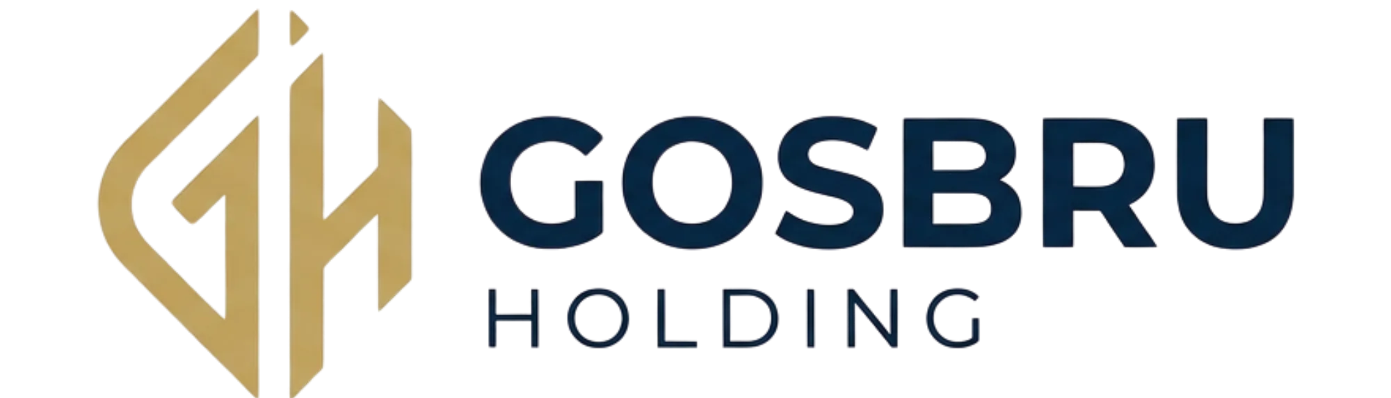 Gosbru Holding